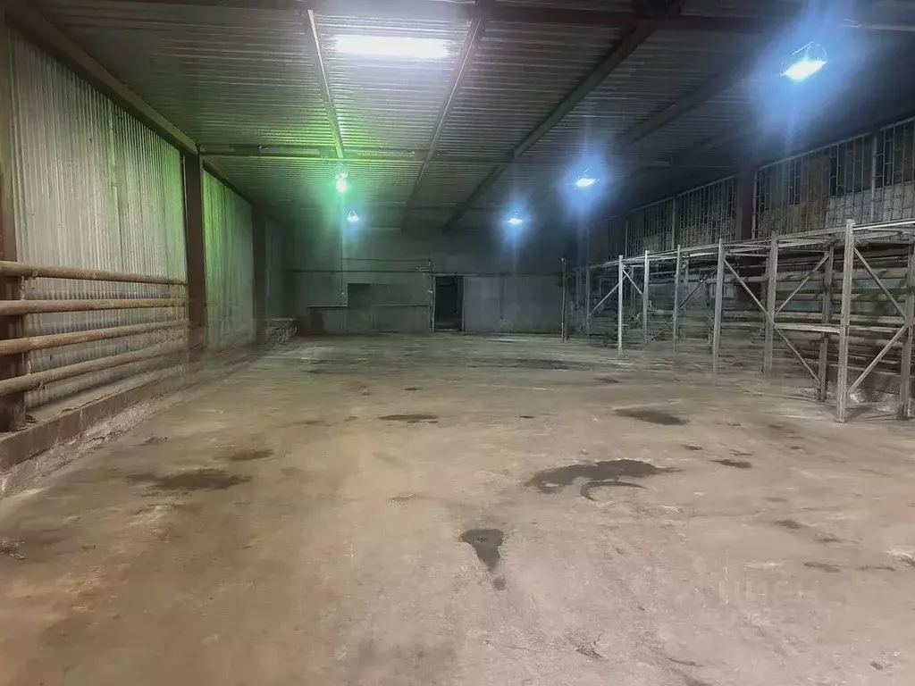 Помещение свободного назначения в Московская область, Дедовск г. Истра ... - Фото 1