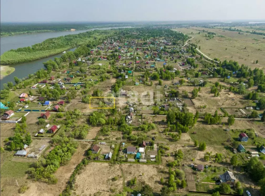 Участок в Новосибирская область, Колыванский район, Ежевичка СНТ  ... - Фото 0