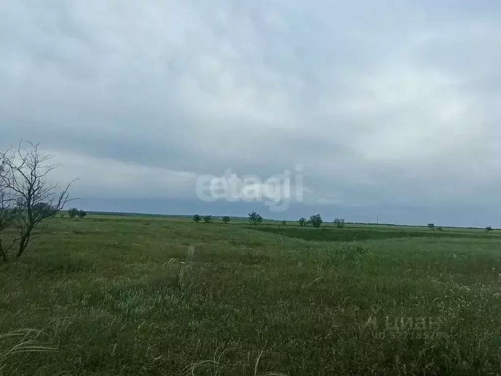 Участок в Крым, с. Ленинское ул. Садовая (922.34 сот.) - Фото 1