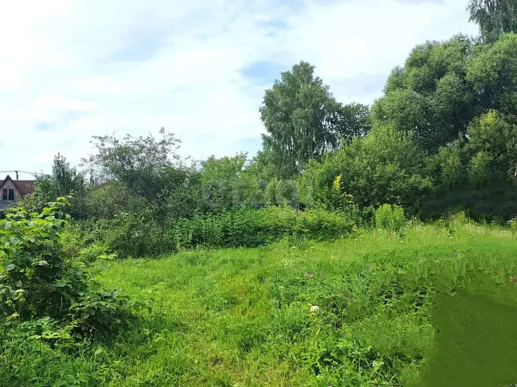 Участок в городской округ Калуга, деревня Животинки (11.23 м) - Фото 0