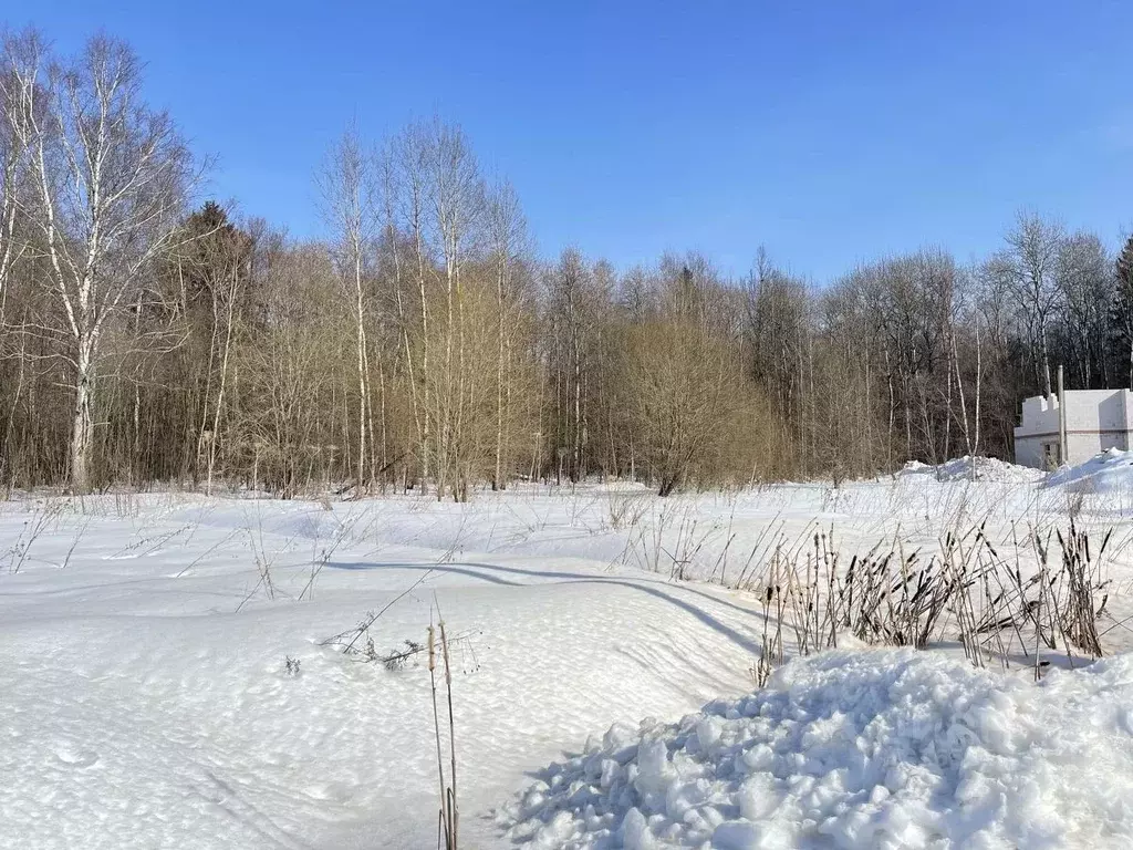 Участок в Московская область, Дмитровский городской округ, д. ... - Фото 0