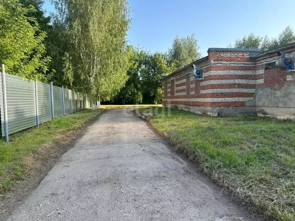 Склад в Тамбовская область, Рассказовский муниципальный округ, с. ... - Фото 2