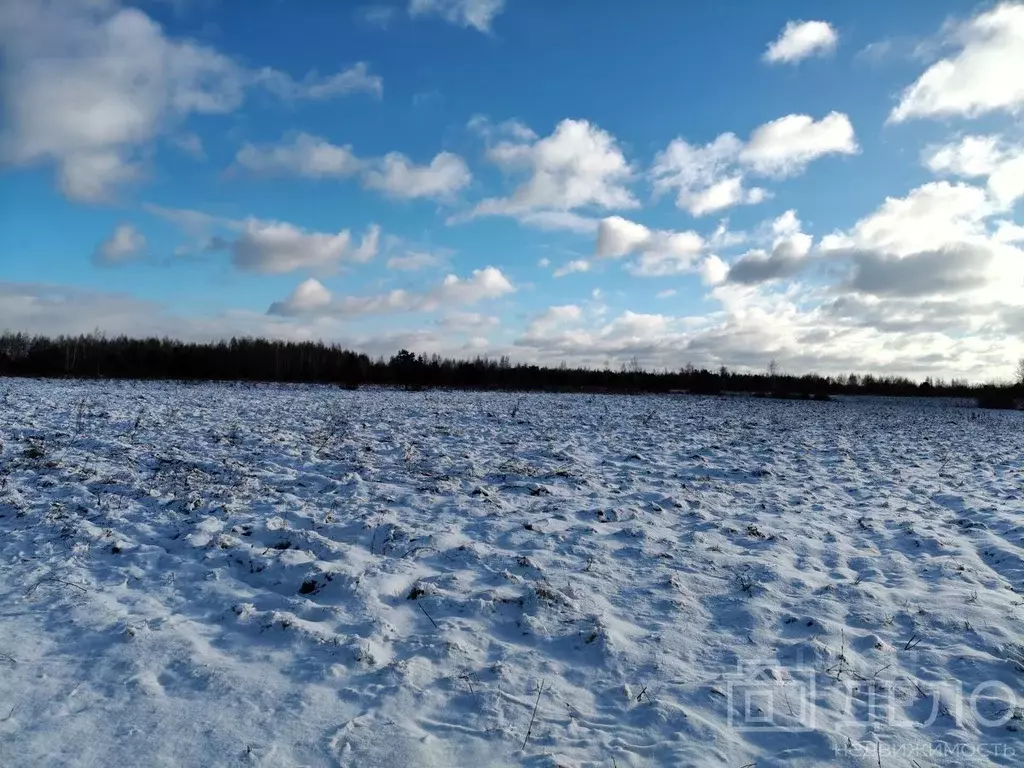 Участок в Рязанская область, Рязанский муниципальный округ, с. ... - Фото 1