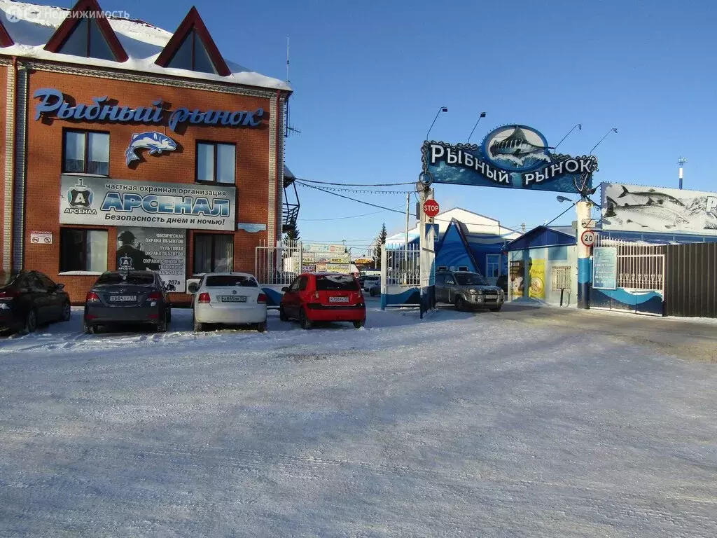 Помещение свободного назначения (42 м) - Фото 2