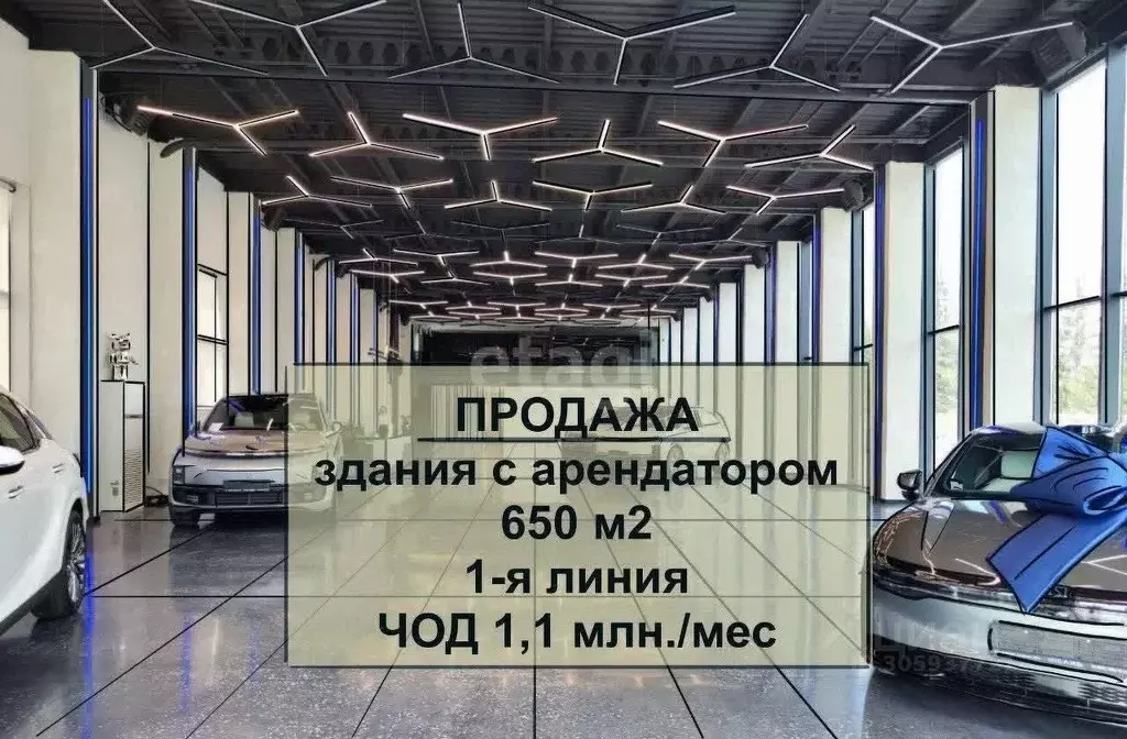 Помещение свободного назначения в Новосибирская область, Новосибирск ... - Фото 0