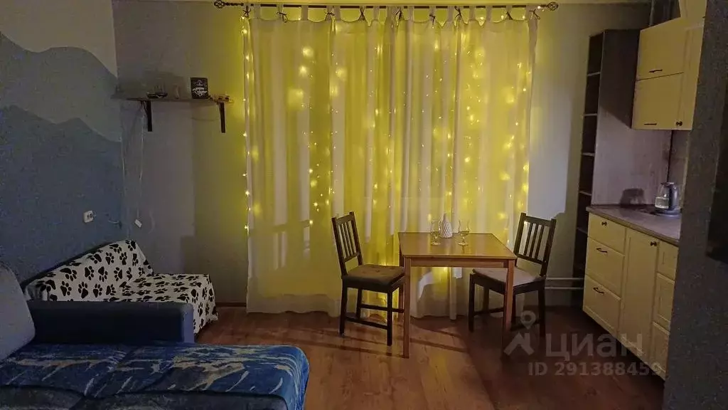 Студия Челябинская область, Миасс бул. И.И. Седова, 7 (26.0 м) - Фото 1