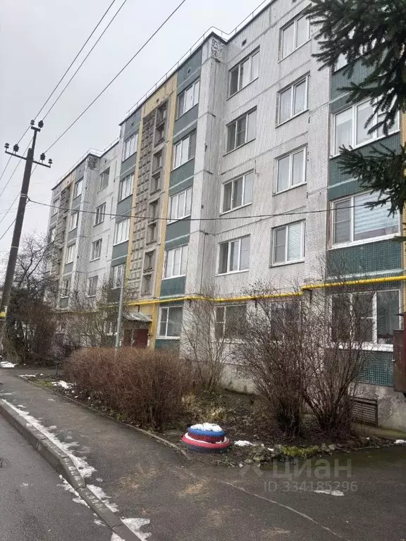 Комната Ленинградская область, Гатчинский муниципальный округ, д. ... - Фото 1