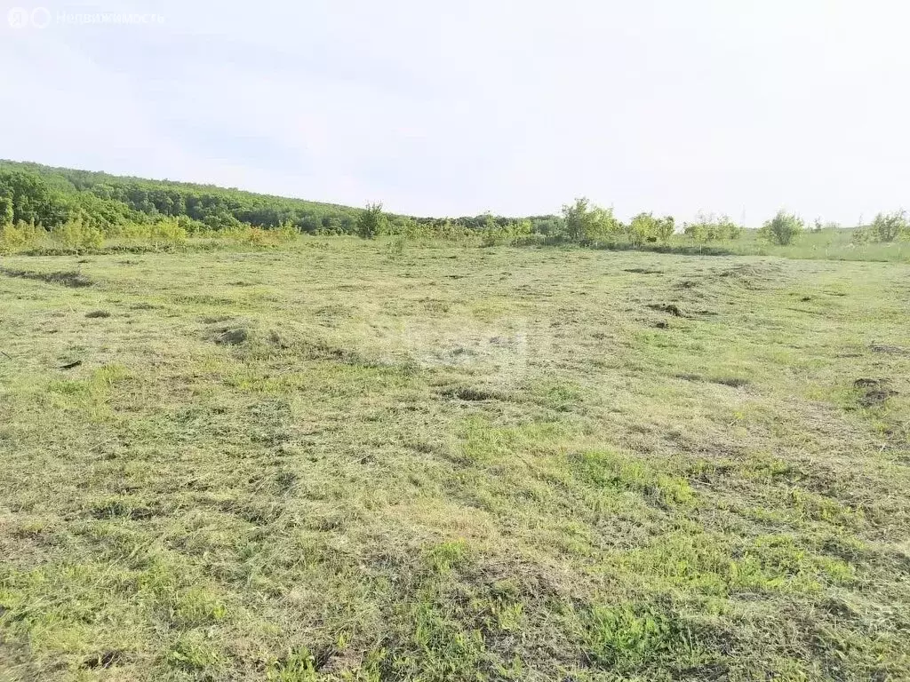 Участок в муниципальное образование Саратов, рабочий посёлок Соколовый ... - Фото 1