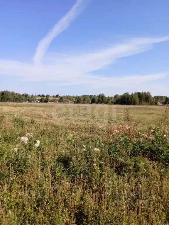 Участок в Вологодская область, д. Вотолино  (18.0 сот.) - Фото 0