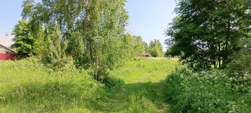 Участок в Псковская область, Псковский муниципальный округ, ... - Фото 1
