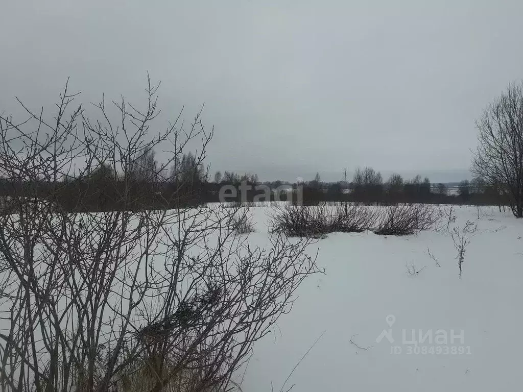 Участок в Псковская область, Островский район, Воронцовская волость, ... - Фото 1