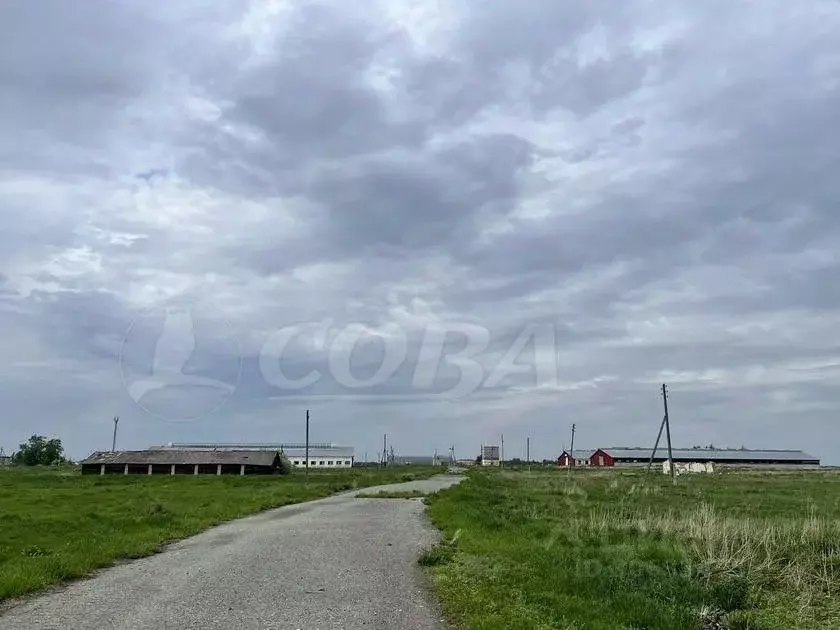 производственное помещение в тюменская область, исетский район, с. . - Фото 1