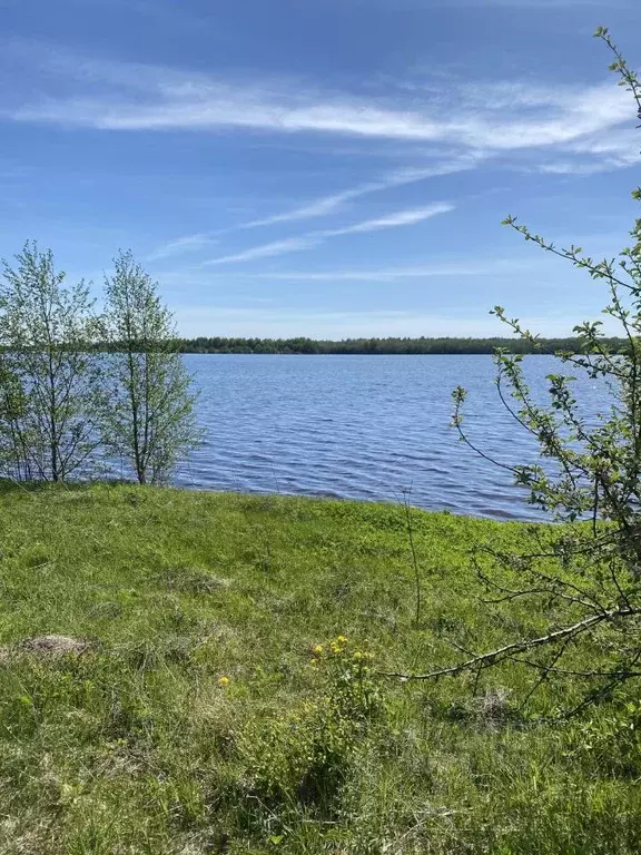 Участок в Вологодская область, Шекснинский район, Ершовское с/пос, д. ... - Фото 1