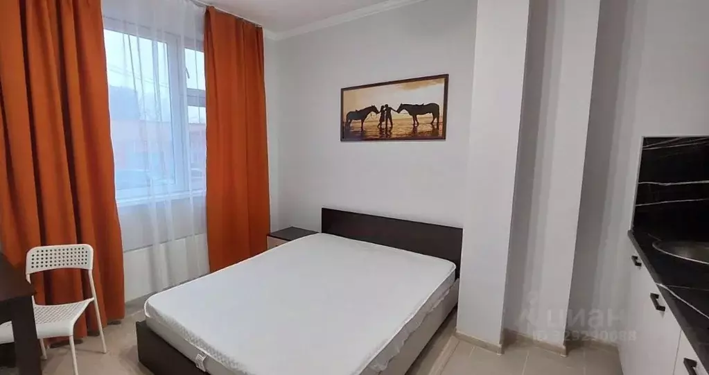 Студия Московская область, Балашиха Кучино мкр, ул. Речная, 5 (22.0 м) - Фото 1