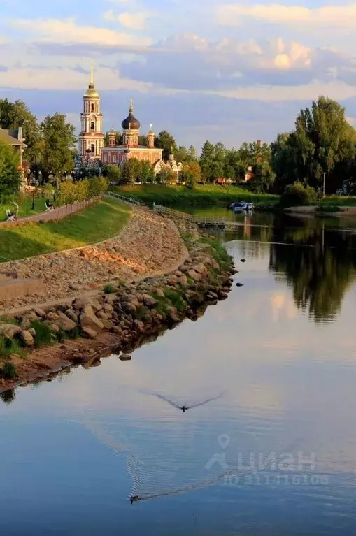 Дом в Новгородская область, Старая Русса Кожевенный пер., 7/1 (45 м) - Фото 1