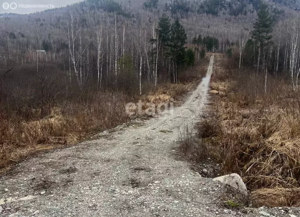 Участок в Майминский район, село Озёрное (10 м) - Фото 0