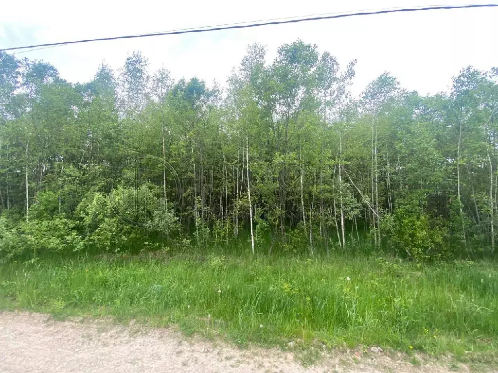 Продается участок в д. Алферово - Фото 1