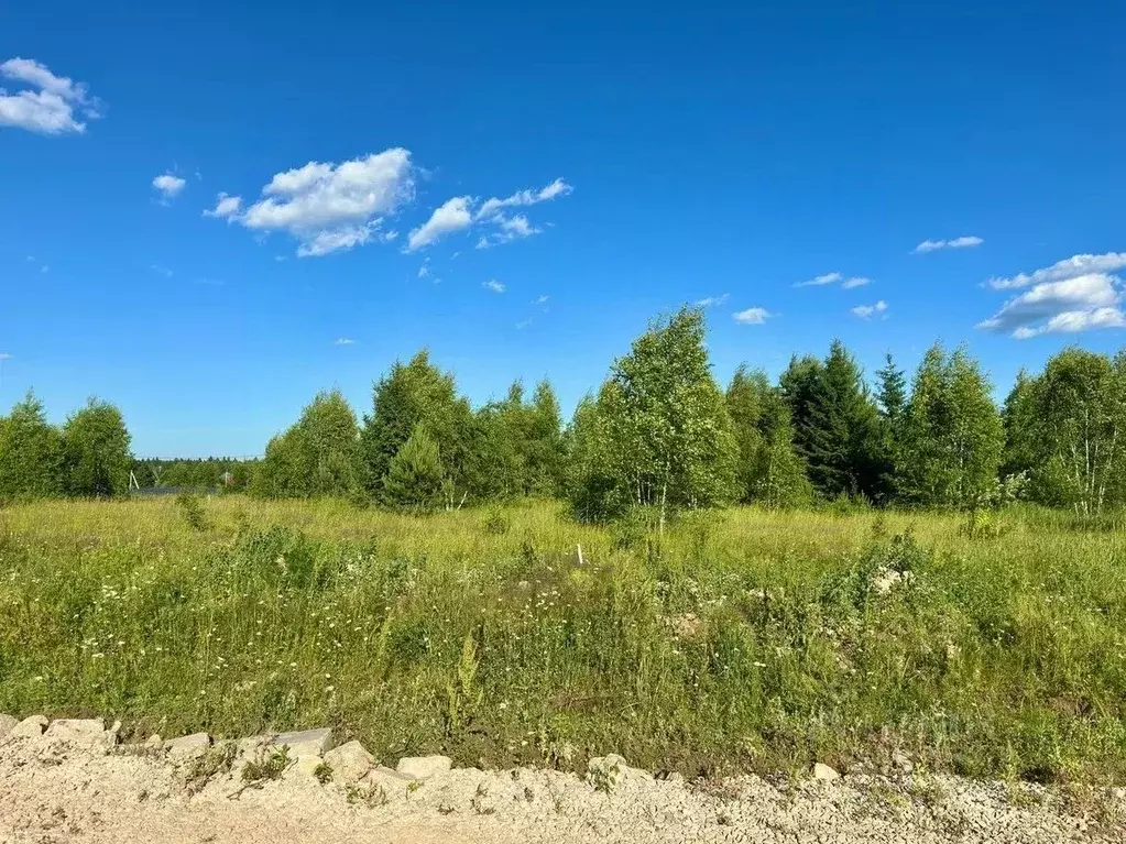Участок в Московская область, Серпухов городской округ, Южные Луга кп  ... - Фото 1