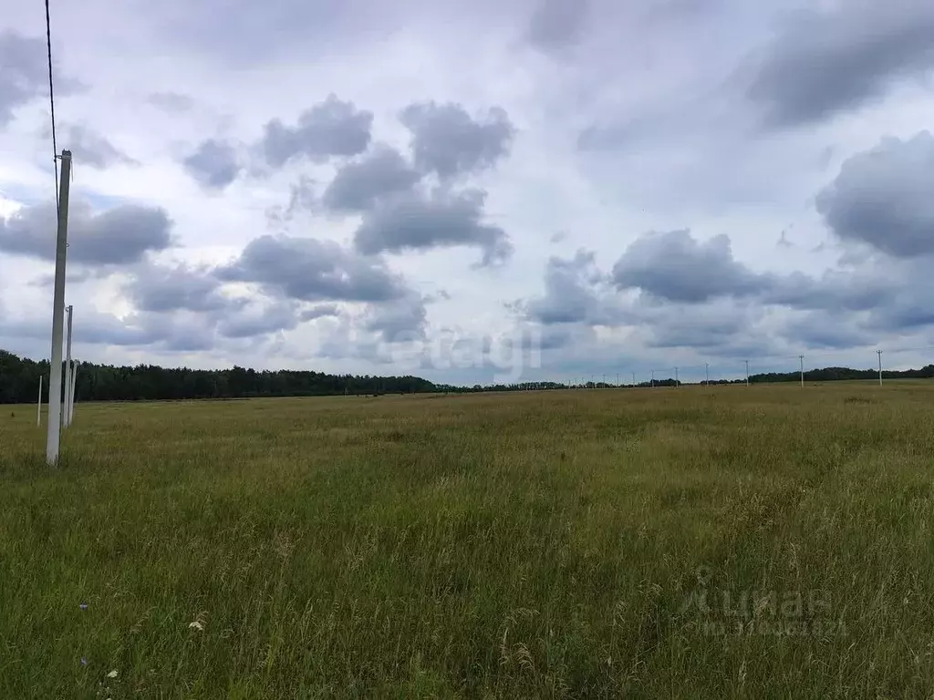 Участок в Алтайский край, Барнаул пл. Имени Акинфия Демидова (10.8 ... - Фото 0