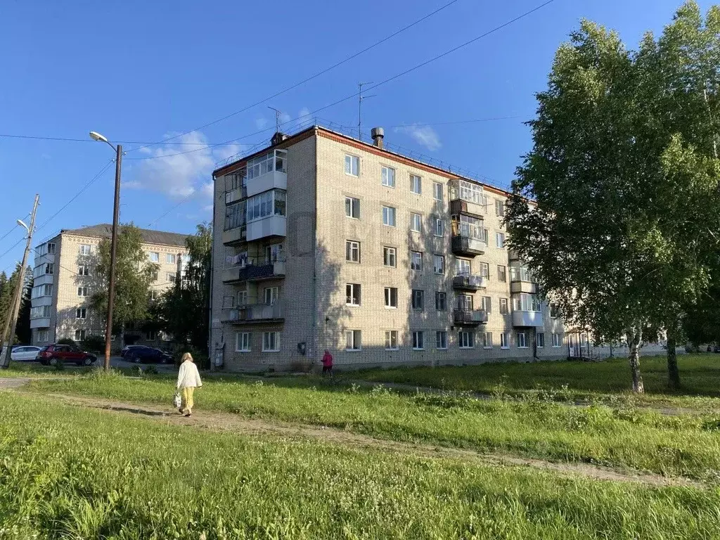 2-к кв. Свердловская область, Нижнесергинский район, Атиг пгт ул. ... - Фото 2