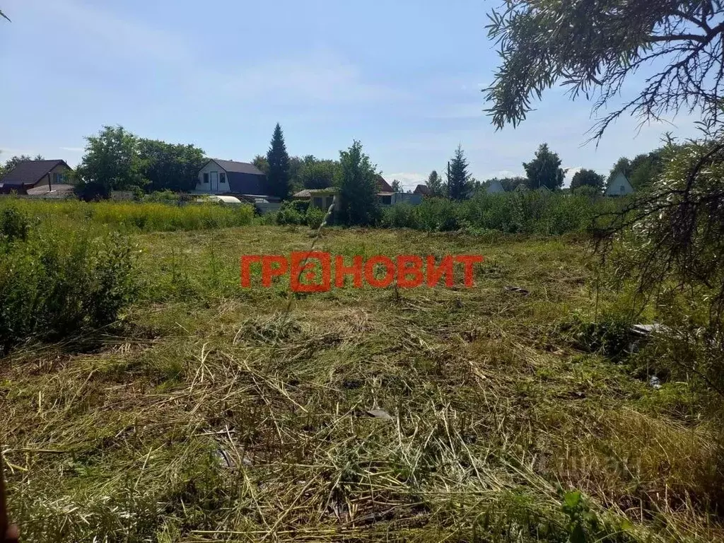 Участок в Новосибирская область, Ордынское рп, Рябинка СНТ ул. ... - Фото 0