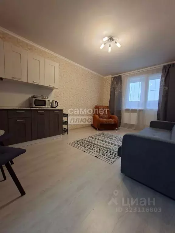 Студия Санкт-Петербург пос. Шушары, просп. Новгородский, 4 (21.0 м) - Фото 2