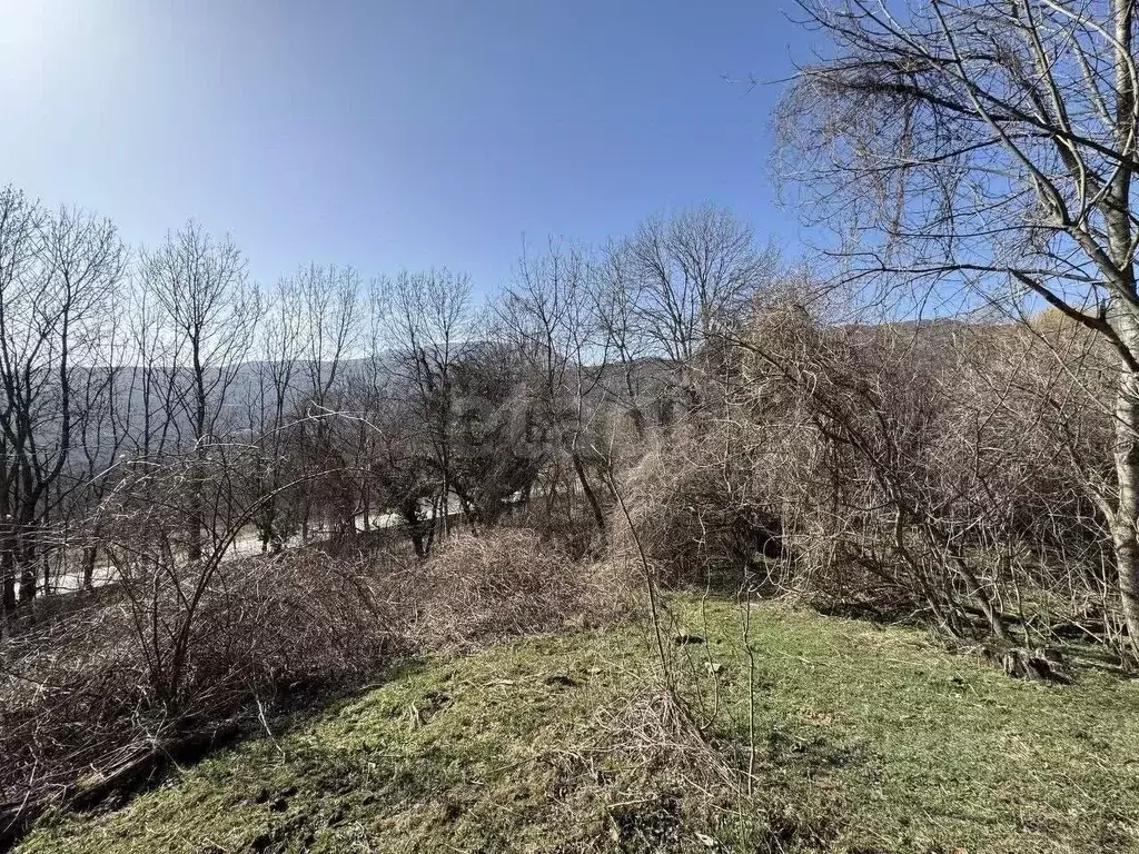 Участок в Крым, Алушта муниципальный округ, с. Лучистое  (176.0 сот.) - Фото 1
