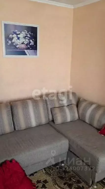 1-к кв. Алтайский край, Барнаул пер. Малый Прудской, 48А (23.8 м) - Фото 1