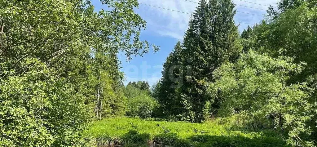 Участок в Пермский край, Добрянский муниципальный округ, д. Конец Гор  ... - Фото 2