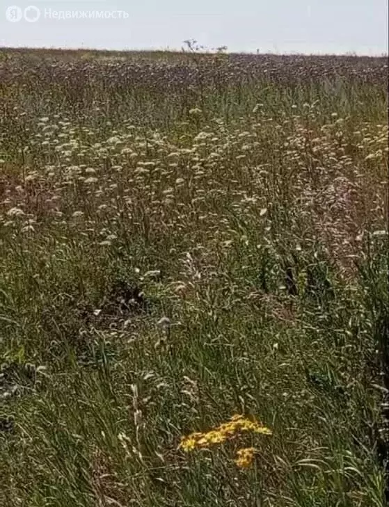 Участок в село Конь, Пионерская улица (100.2 м) - Фото 1