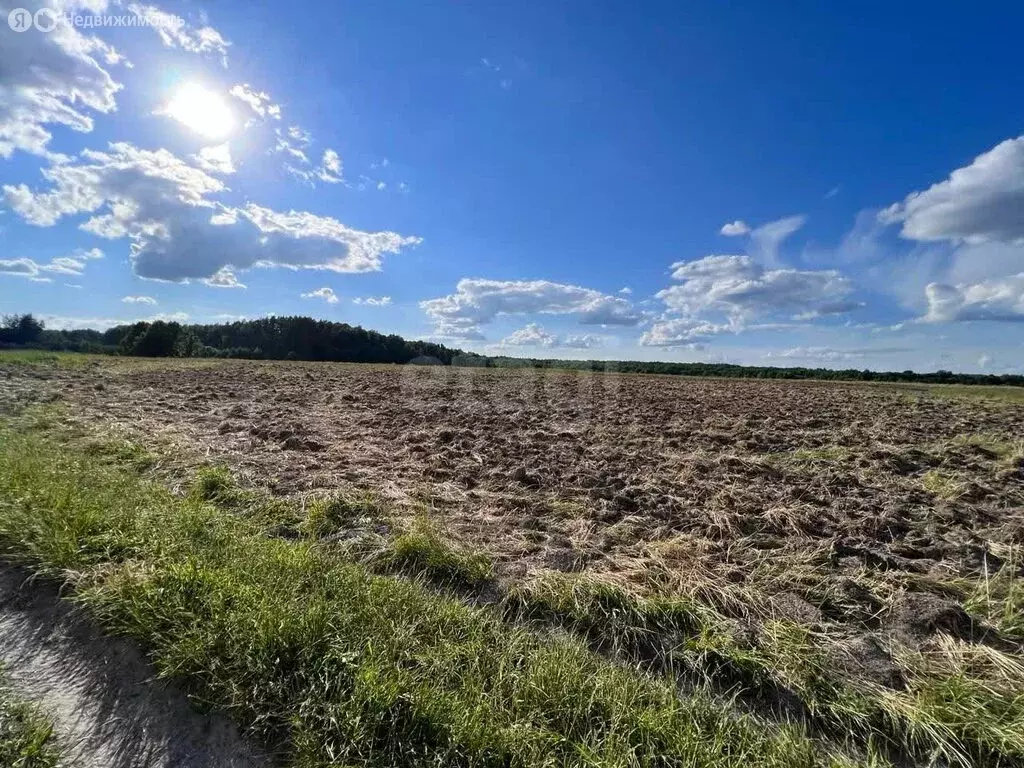 Участок в Мылинское сельское поселение, деревня Фроловка (24 м) - Фото 2