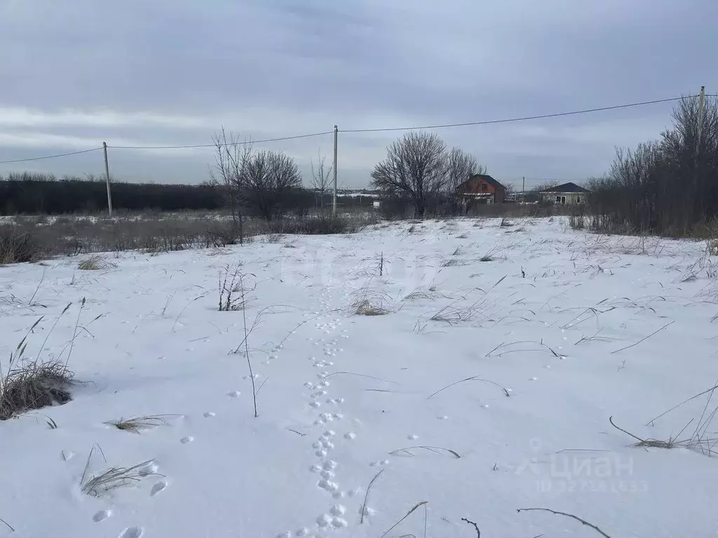 Участок в Белгородская область, Белгородский район, Беломестненское ... - Фото 1