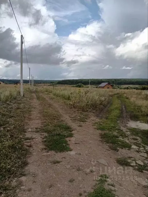 Участок в Мордовия, Лямбирский район, Пензятское с/пос, с. Пензятка  ... - Фото 2