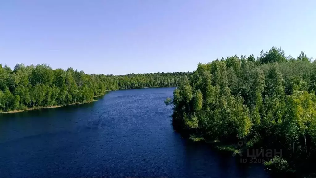 Участок в Ленинградская область, Кировский район, Мгинское городское ... - Фото 2