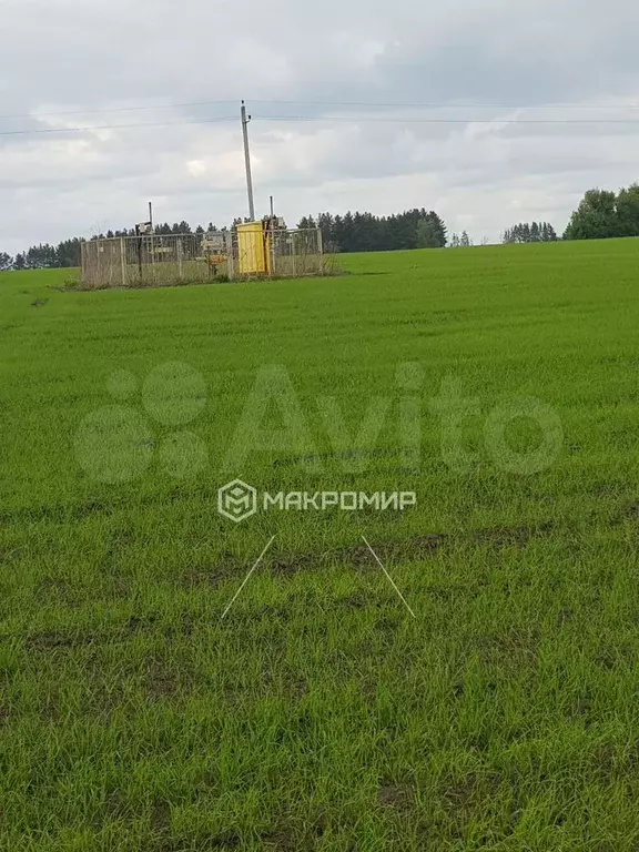 Участок 11 сот. (СНТ, ДНП) - Фото 0