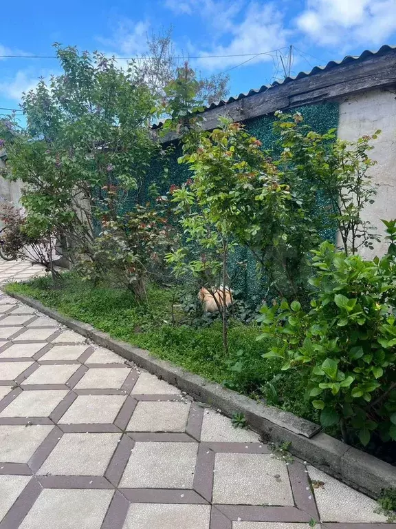 Дом 200 м на участке 2,5 сот. - Фото 1