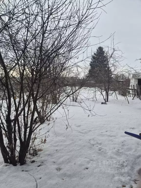 Участок в Омская область, Омский район муниципальный округ, пос. ... - Фото 2