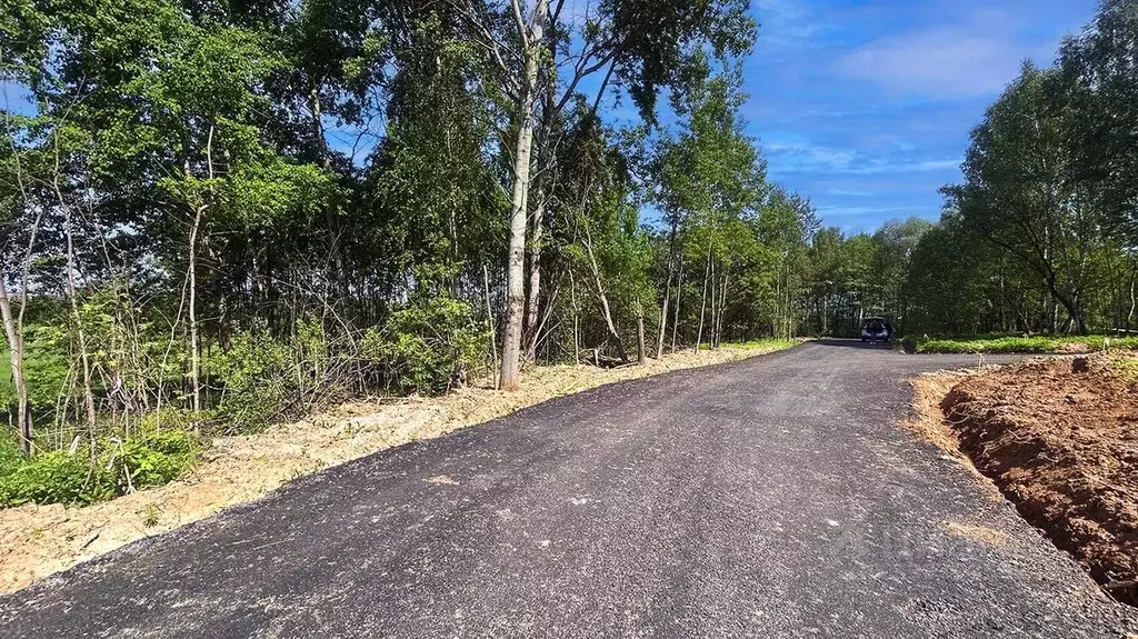 Участок в Московская область, Домодедово городской округ, пос. ... - Фото 2