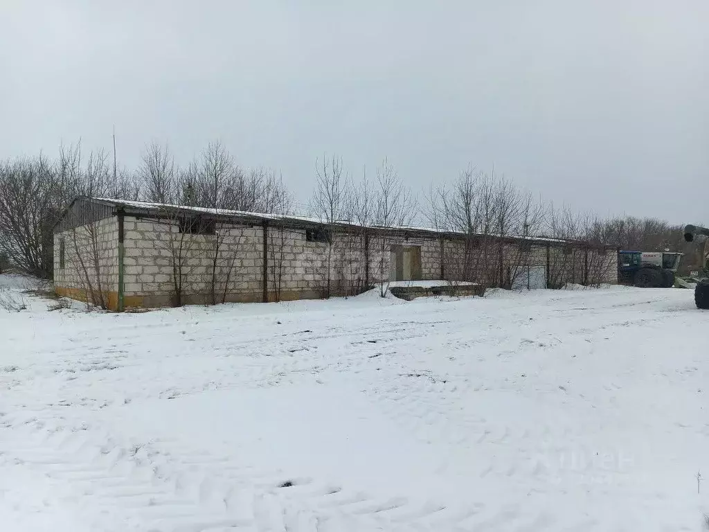 Склад в Белгородская область, Ивнянский район, Сухосолотинское с/пос, ... - Фото 1