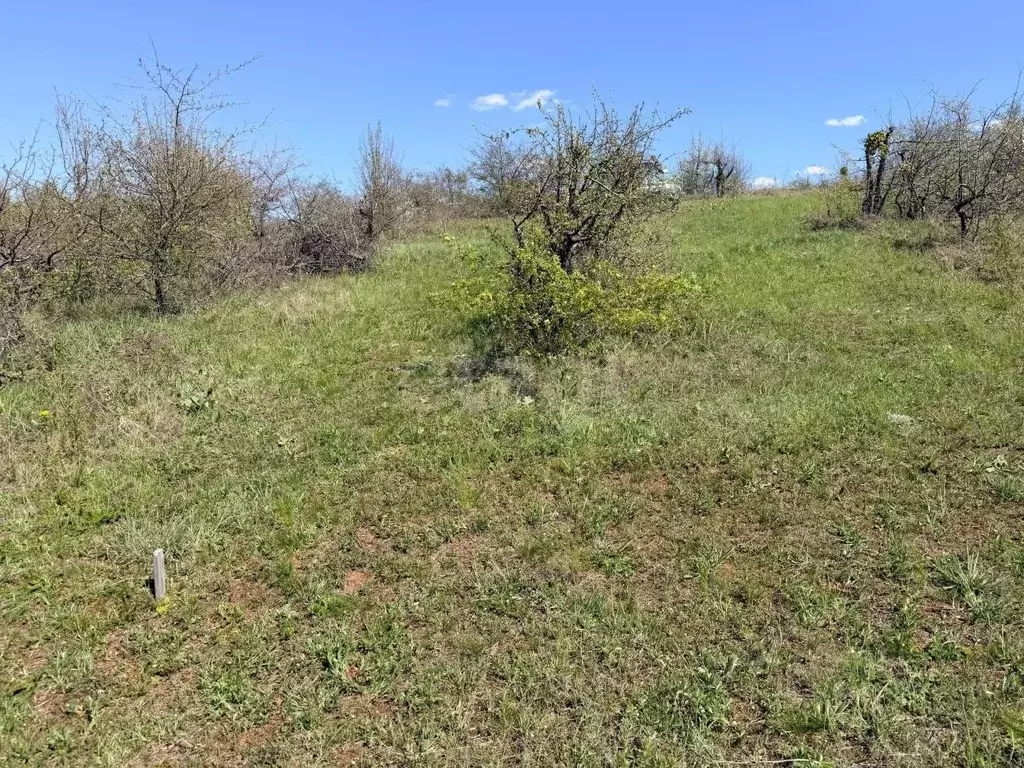 Участок в Крым, Симферопольский район, Перовское с/пос, с. Клиновка ... - Фото 2