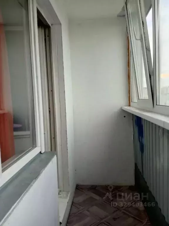 Студия Новосибирская область, Новосибирск ул. Виктора Уса, 13 (24.9 м) - Фото 1