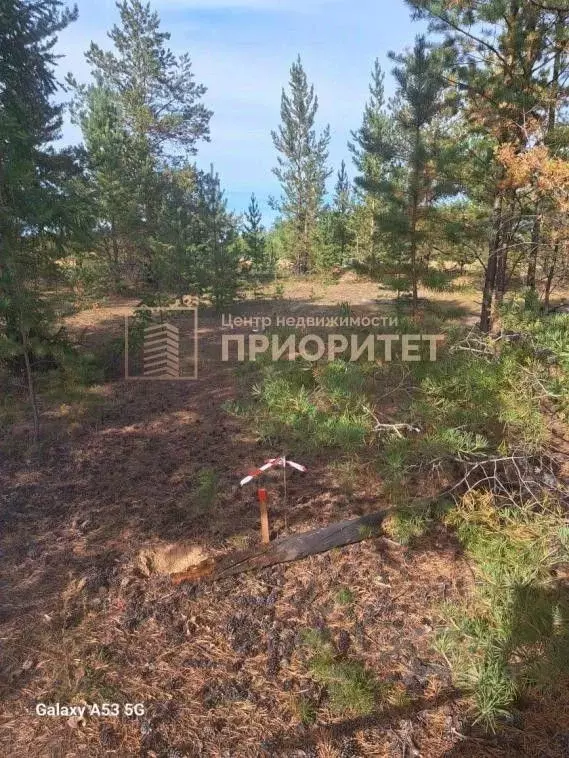 Участок в Саха (Якутия), Якутск городской округ, с. Тулагино ул. ... - Фото 1