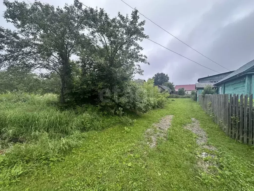 Участок в Брянская область, Жуковский муниципальный округ, с. Ржаница ... - Фото 1