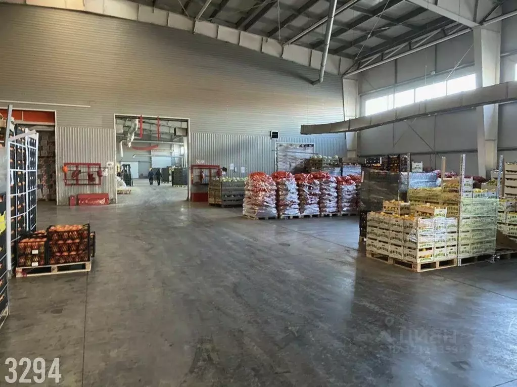 Склад в Краснодарский край, Абинский район, Холмское с/пос, Холмская ... - Фото 2