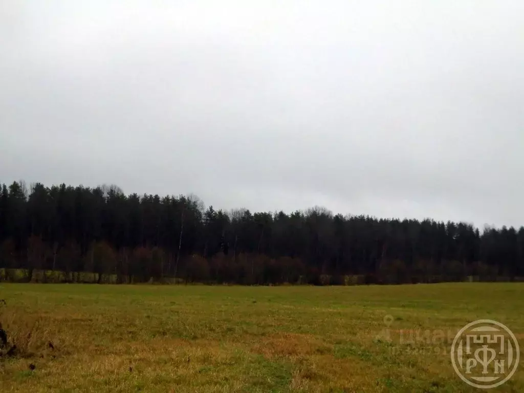 Участок в Ленинградская область, Выборгский район, Полянское с/пос, ... - Фото 2