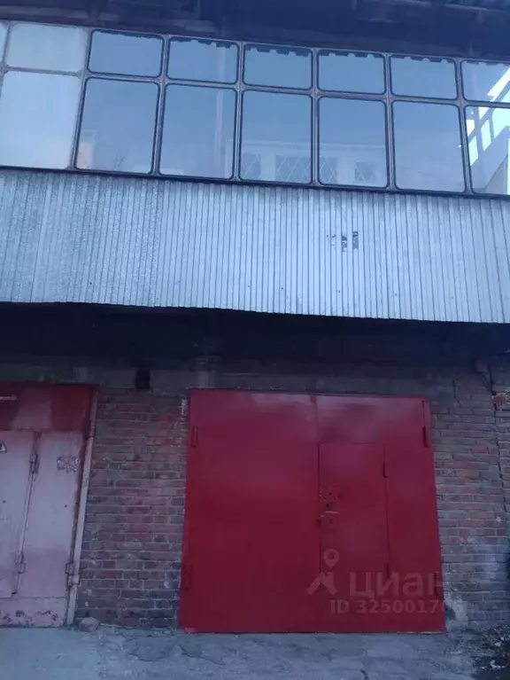 Помещение свободного назначения в Новосибирская область, Новосибирск ... - Фото 1