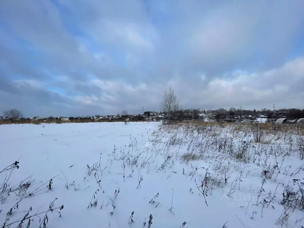 Участок в Московская область, Серпухов городской округ, д. Большое ... - Фото 0