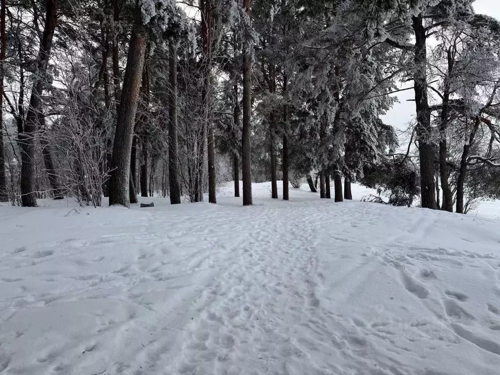 Участок в Санкт-Петербург, Санкт-Петербург, Сестрорецк Канонерка ... - Фото 2