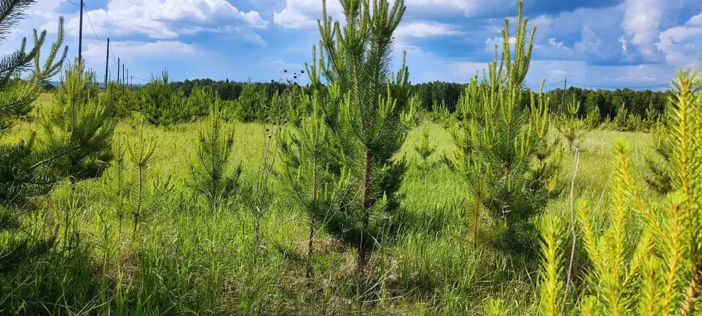 Участок в Красноярский край, Емельяново городское поселение, д. Сухая, ... - Фото 0