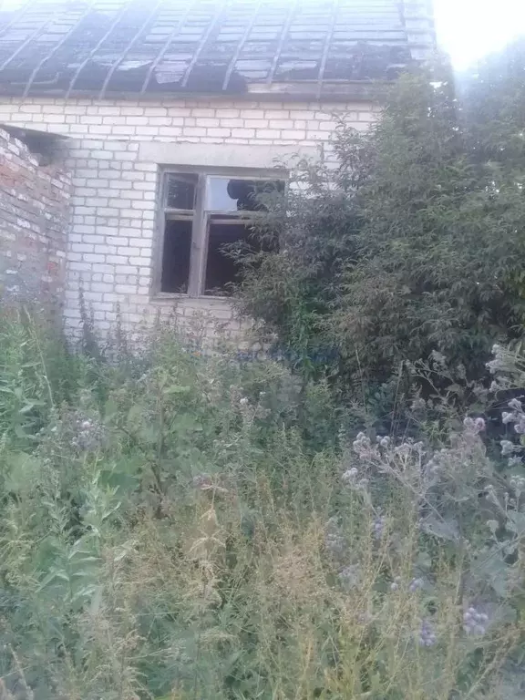 Дом в Нижегородская область, Дивеевский муниципальный округ, с. ... - Фото 2